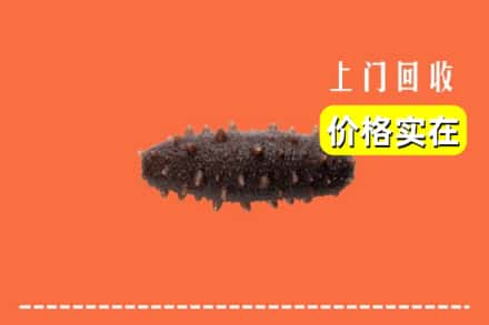 龙亭区回收海参