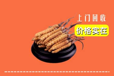 龙亭区回收冬虫夏草