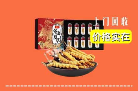 龙亭区回收虫草